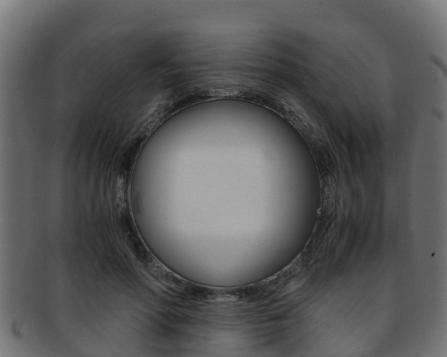 X0000091960598200709061101