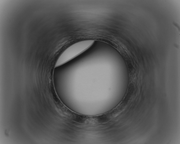 X0000091960599200709061101