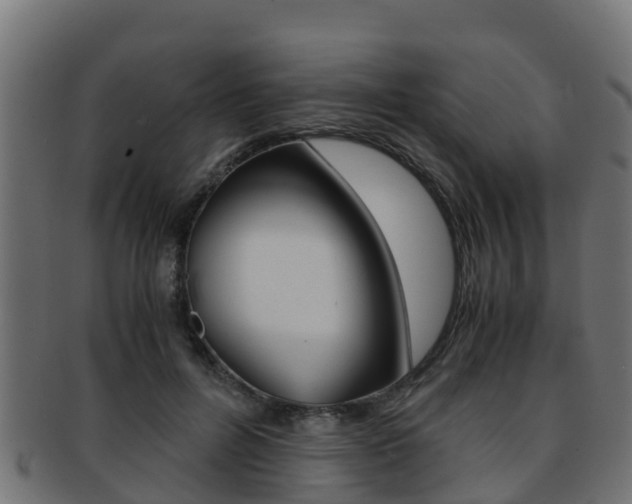 X0000091960600200709061101