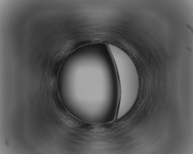 X0000091960601200709061101