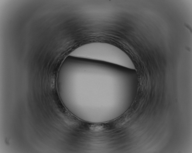 X0000091960602200709061101