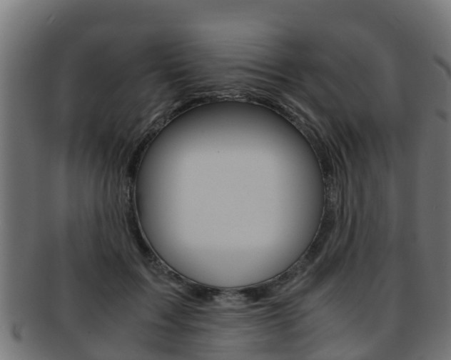 X0000091960603200709061101