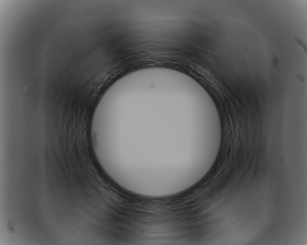 X0000091960604200709061101