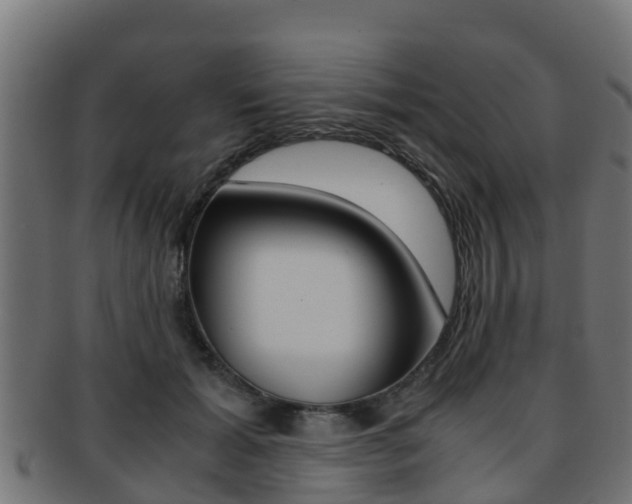 X0000091960605200709061101