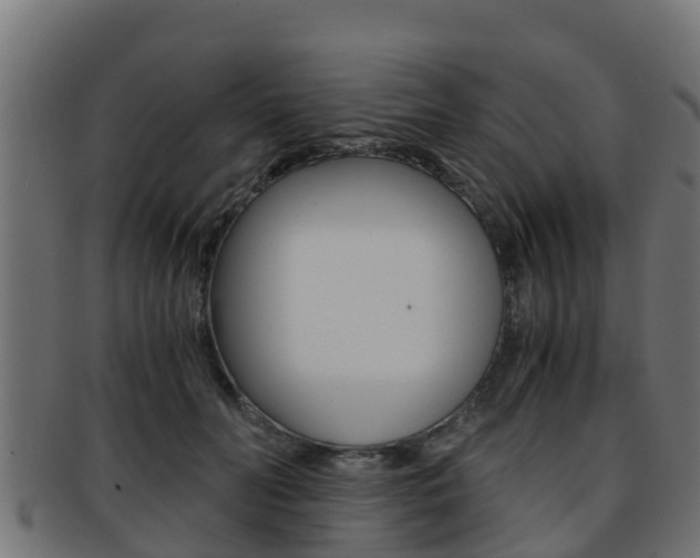 X0000091960606200709061101