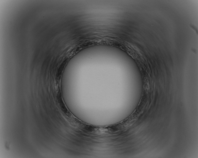 X0000091960607200709061101