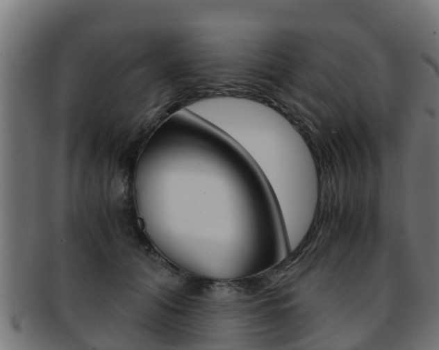 X0000091960608200709061101