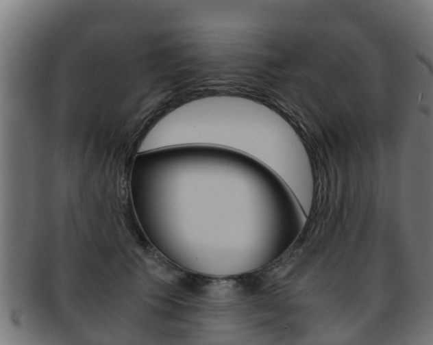 X0000091960609200709061101