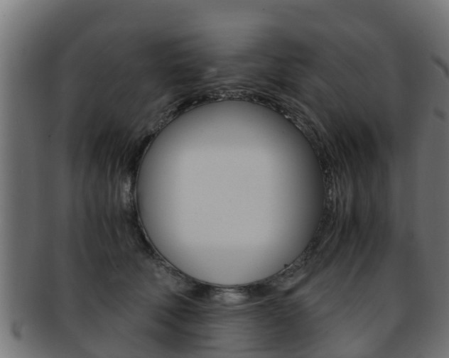 X0000091960610200709061101