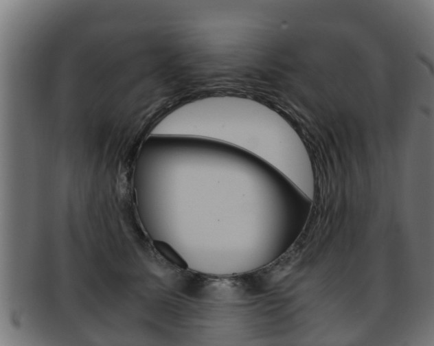 X0000091960611200709061101