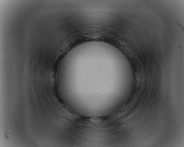 X0000091960612200709061101