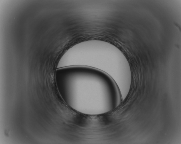 X0000091960613200709061101