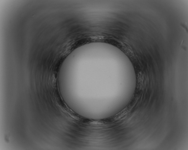 X0000091960614200709061101