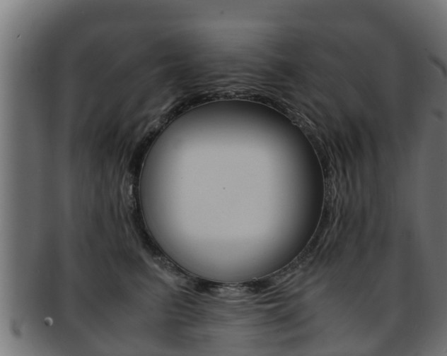 X0000091960615200709061101