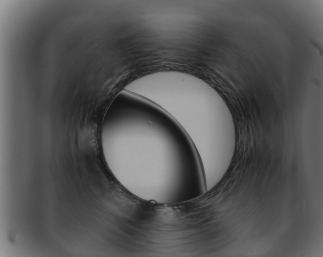 X0000091960616200709061101