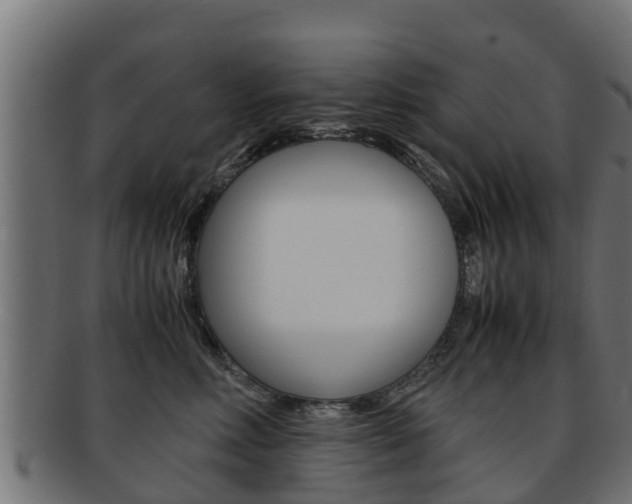 X0000091960618200709061101