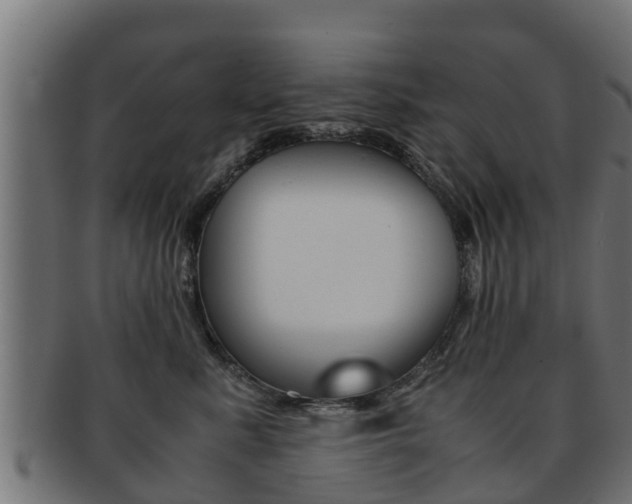X0000091960619200709061101