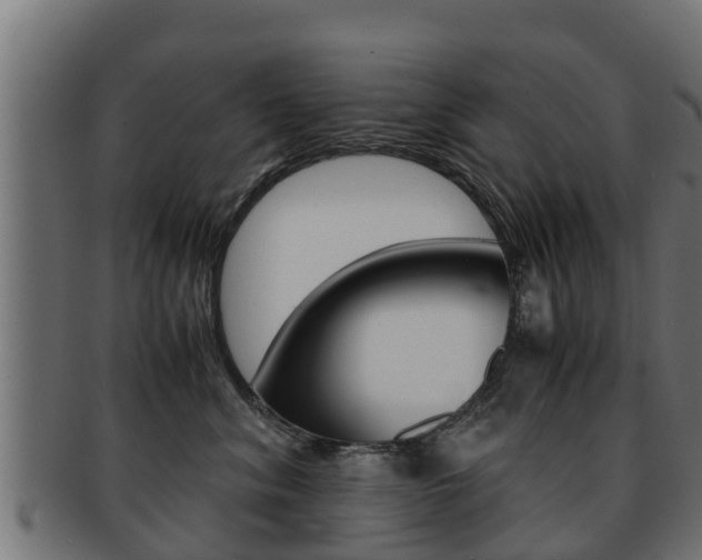 X0000091960620200709061101
