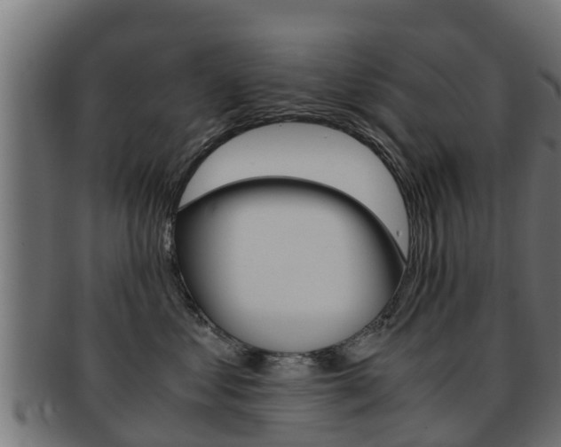 X0000091960621200709061101