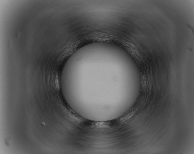 X0000091960622200709061101