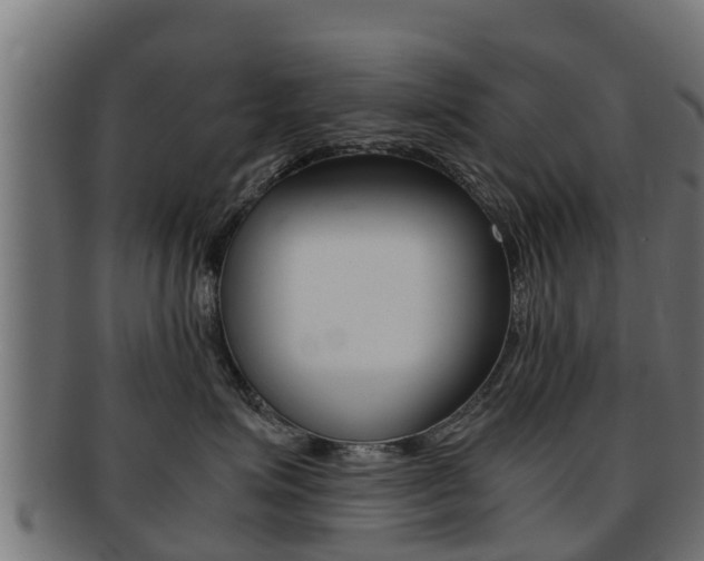X0000091960623200709061101