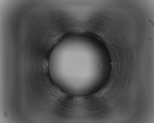 X0000091960624200709061101