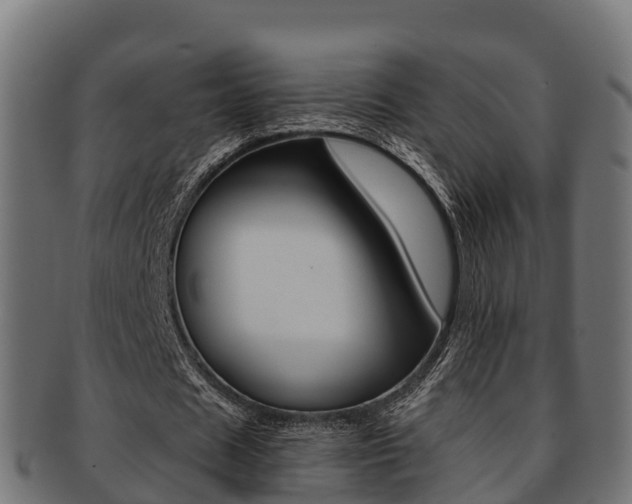 X0000091960625200709061101