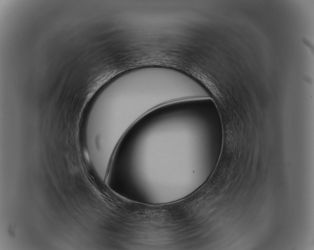 X0000091960626200709061101