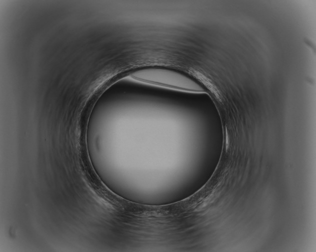 X0000091960627200709061101