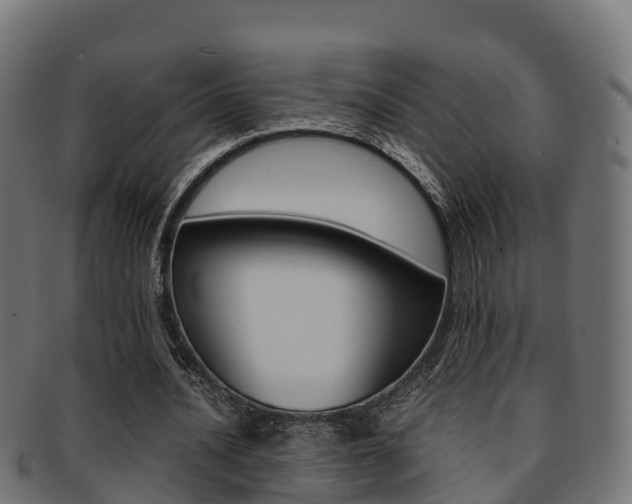 X0000091960628200709061101