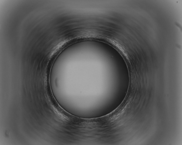 X0000091960629200709061101