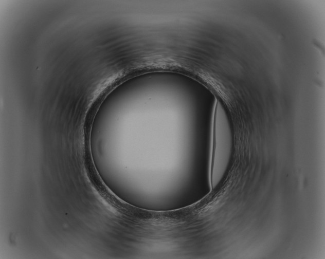 X0000091960630200709061101