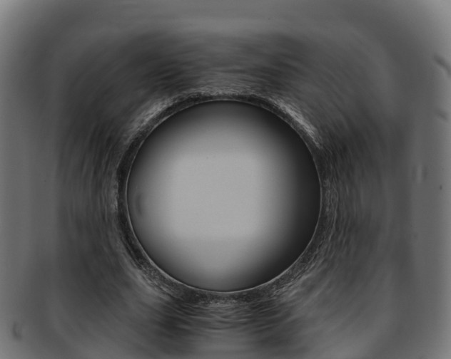 X0000091960631200709061101