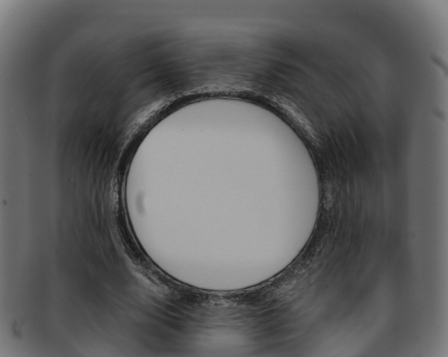 X0000091960632200709061101