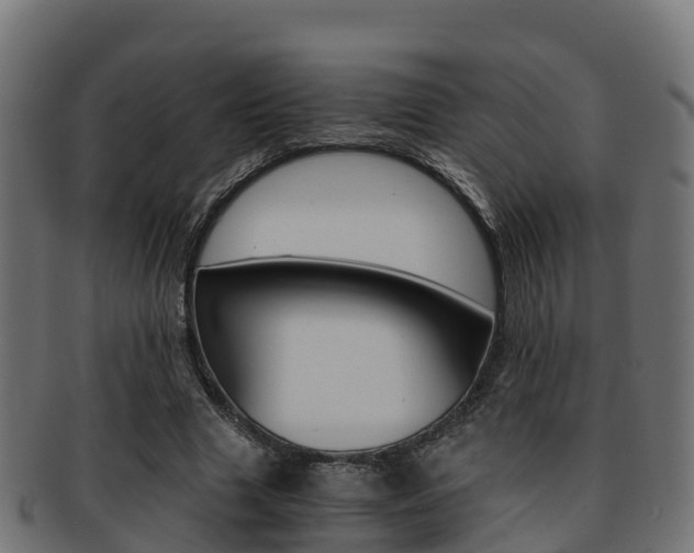X0000091960633200709061101