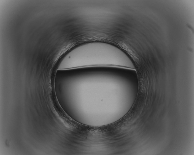 X0000091960634200709061101