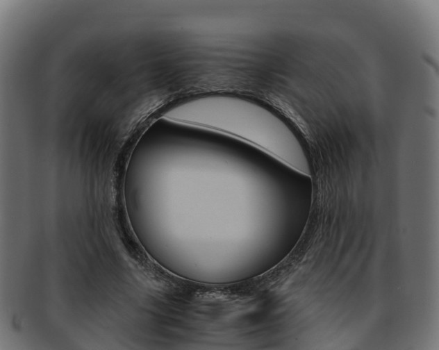 X0000091960635200709061101