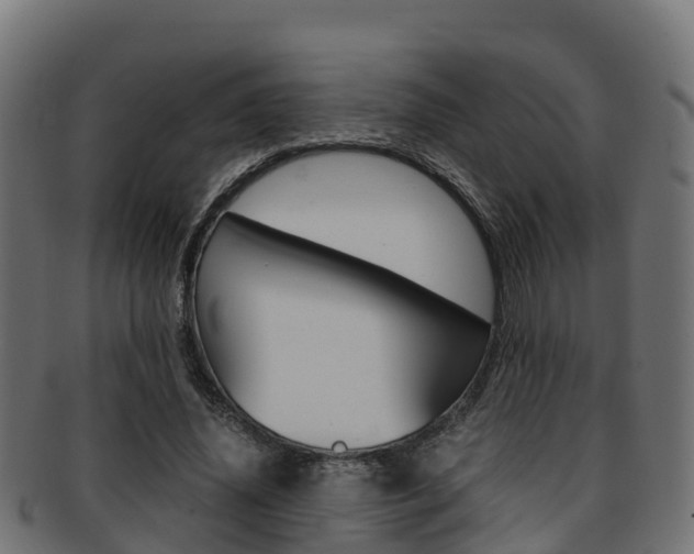 X0000091960636200709061101