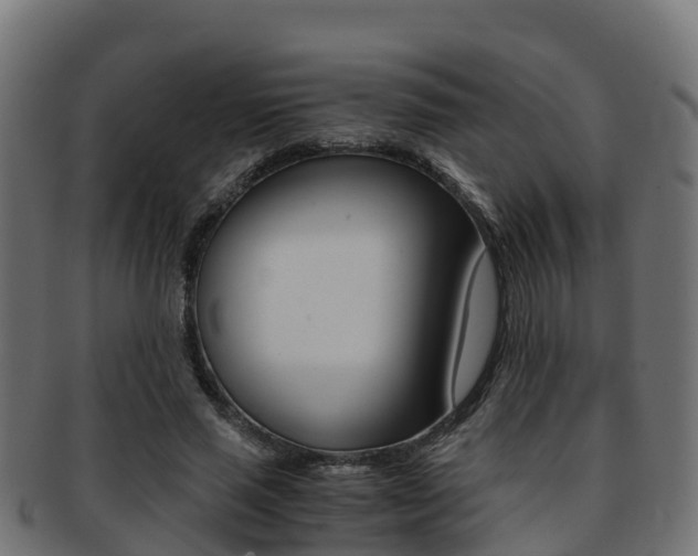 X0000091960637200709061101