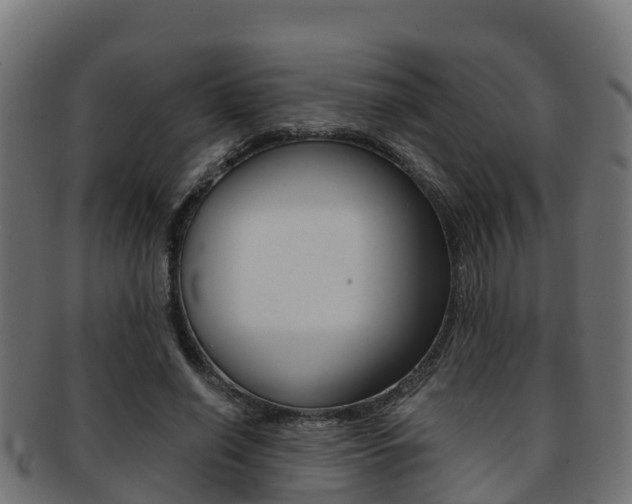 X0000091960638200709061101