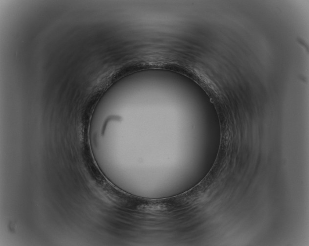X0000091960639200709061101