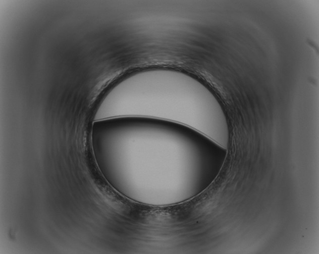 X0000091960640200709061101