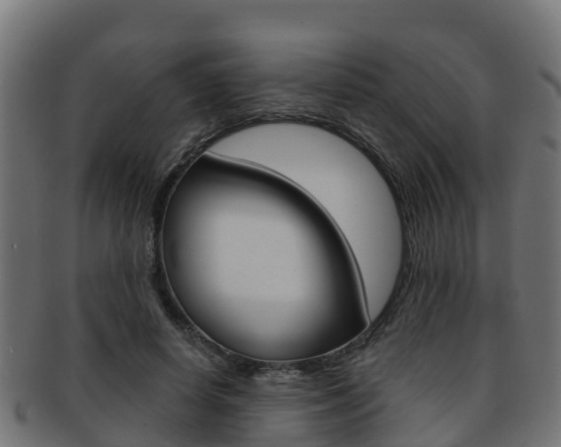 X0000091960642200709061101