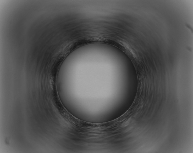 X0000091960643200709061101