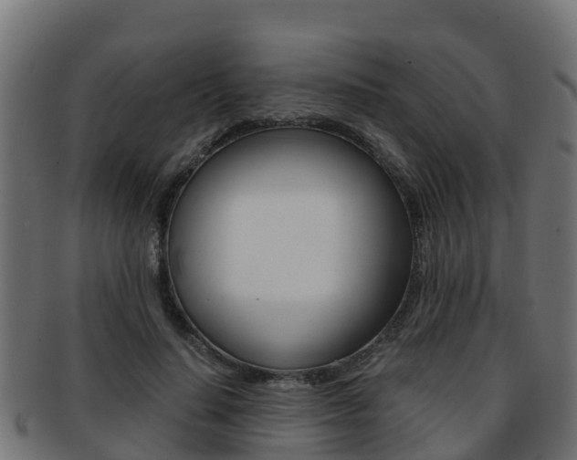 X0000091960644200709061101
