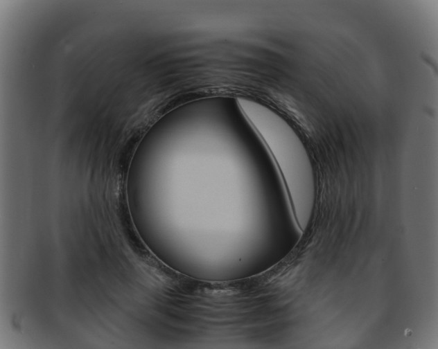 X0000091960645200709061101