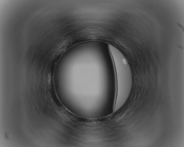 X0000091960646200709061101
