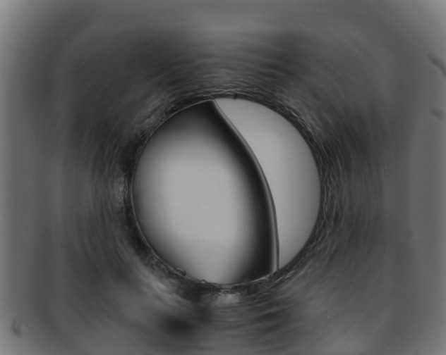 X0000091960647200709061101
