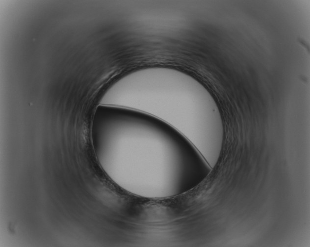 X0000091960648200709061101