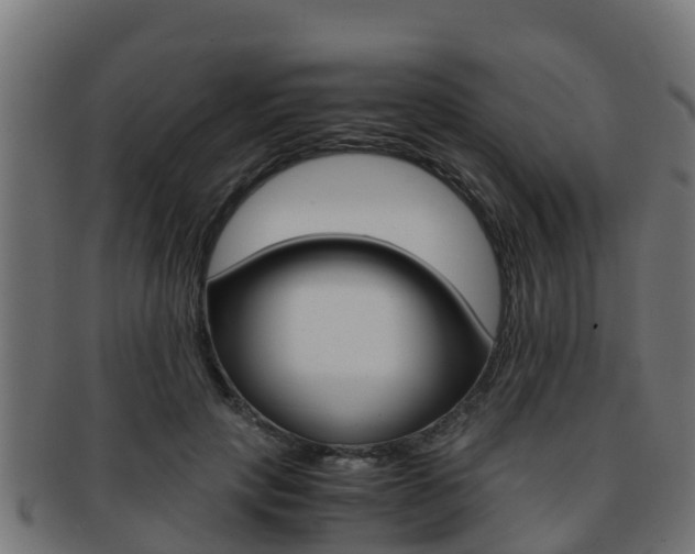 X0000091960649200709061101